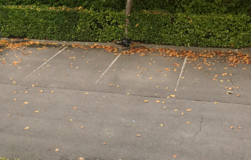 Parking - Herblay / Beauchamp