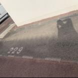 Places de parking